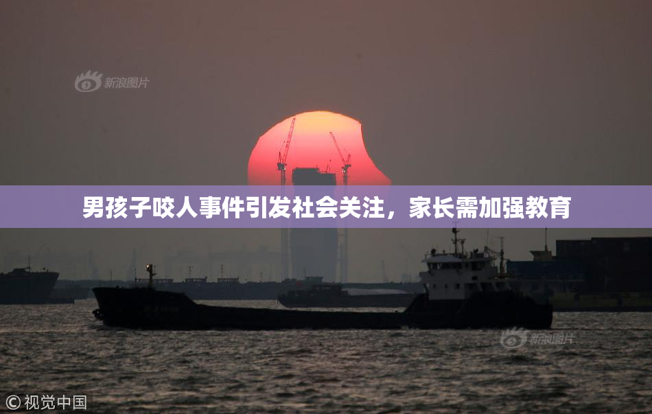 男孩子咬人事件引发社会关注，家长需加强教育