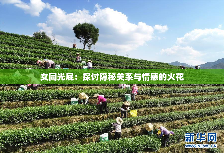 女同光屁：探讨隐秘关系与情感的火花