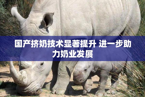 国产挤奶技术显著提升 进一步助力奶业发展