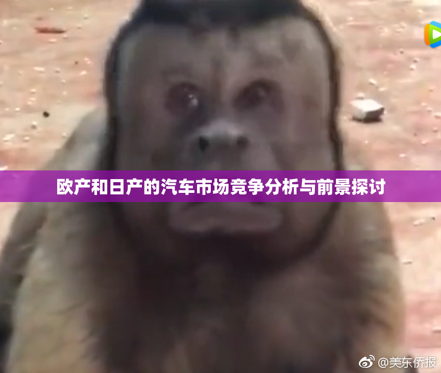 欧产和日产的汽车市场竞争分析与前景探讨