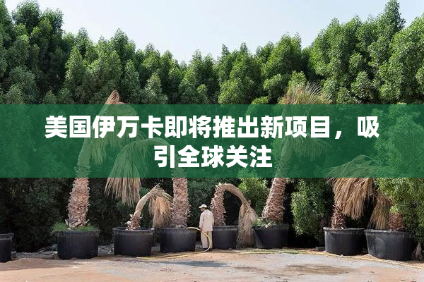 美国伊万卡即将推出新项目，吸引全球关注