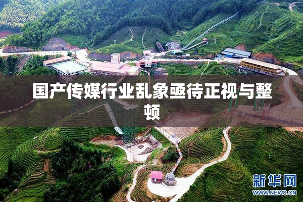 国产传媒行业乱象亟待正视与整顿
