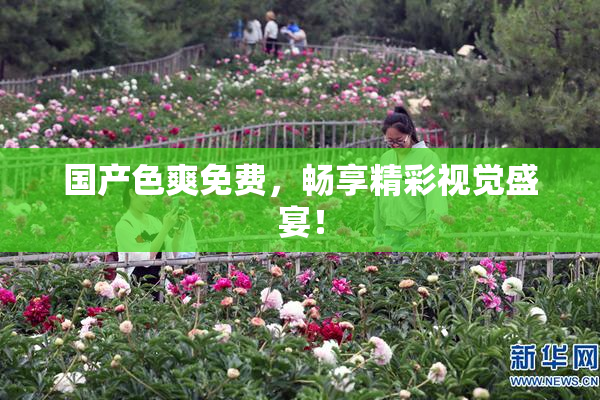 国产色爽免费，畅享精彩视觉盛宴！