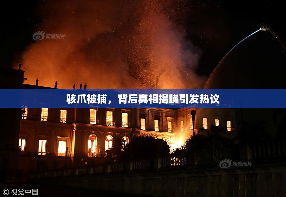 骇爪被捕，背后真相揭晓引发热议