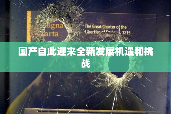 国产自此迎来全新发展机遇和挑战