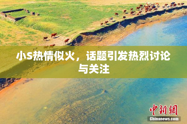 小S热情似火，话题引发热烈讨论与关注