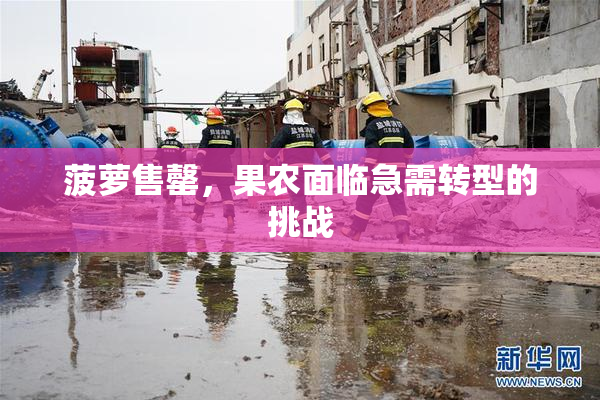 菠萝售罄，果农面临急需转型的挑战