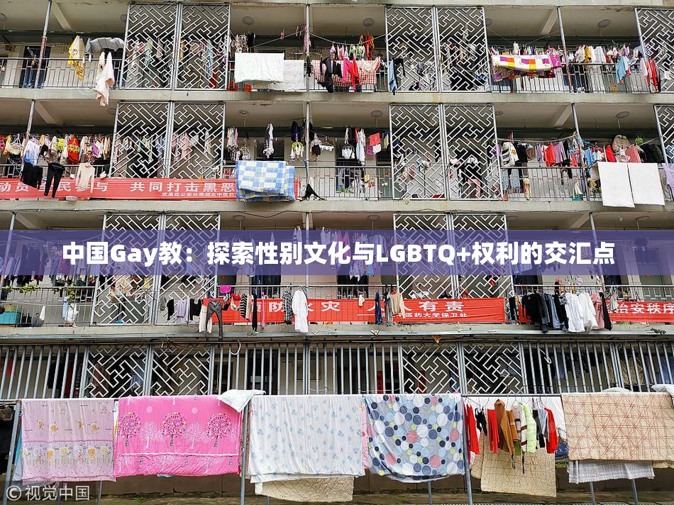 中国Gay教：探索性别文化与LGBTQ+权利的交汇点