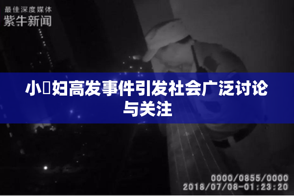 小婬妇高发事件引发社会广泛讨论与关注