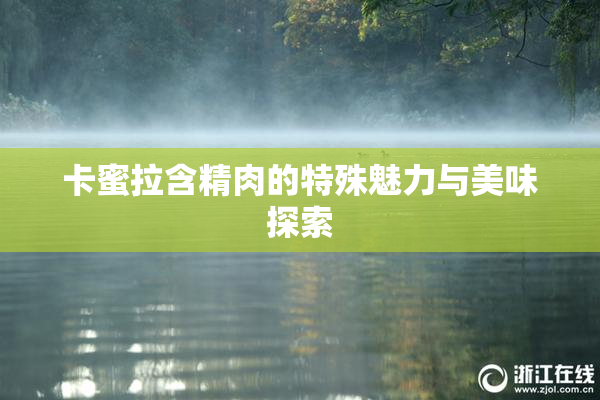 卡蜜拉含精肉的特殊魅力与美味探索