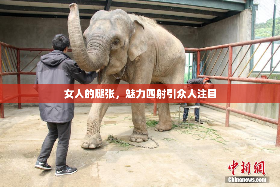 女人的腿张，魅力四射引众人注目