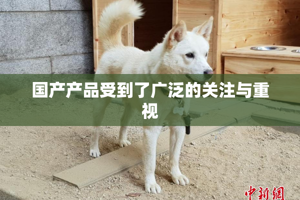 国产产品受到了广泛的关注与重视
