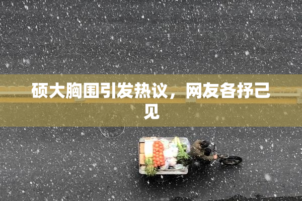 硕大胸围引发热议，网友各抒己见