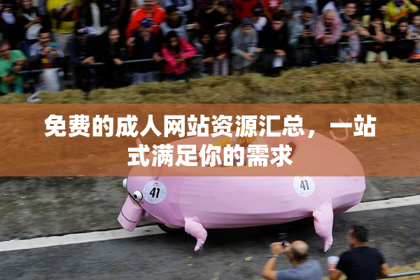 免费的成人网站资源汇总，一站式满足你的需求