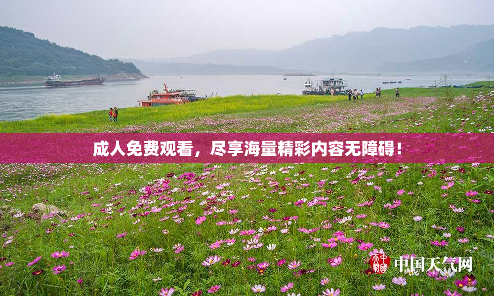 成人免费观看，尽享海量精彩内容无障碍！