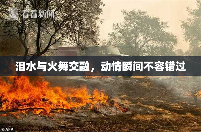 泪水与火舞交融，动情瞬间不容错过