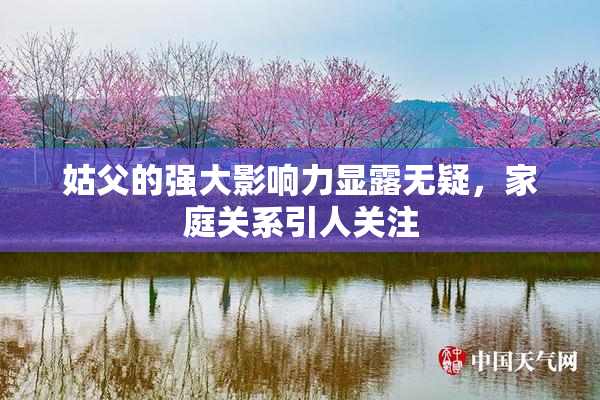 姑父的强大影响力显露无疑，家庭关系引人关注