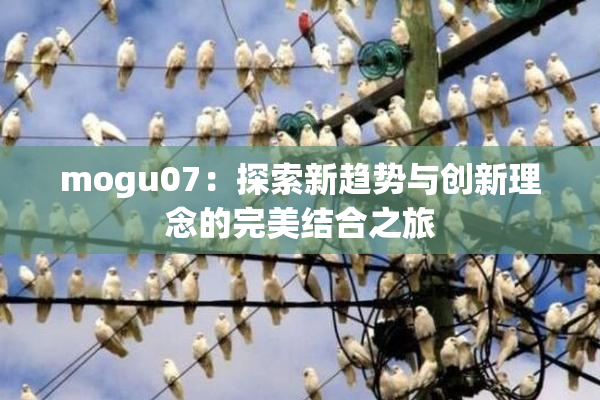 mogu07：探索新趋势与创新理念的完美结合之旅
