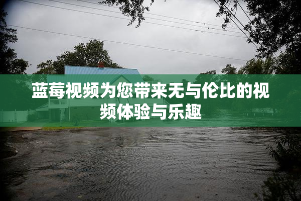 蓝莓视频为您带来无与伦比的视频体验与乐趣
