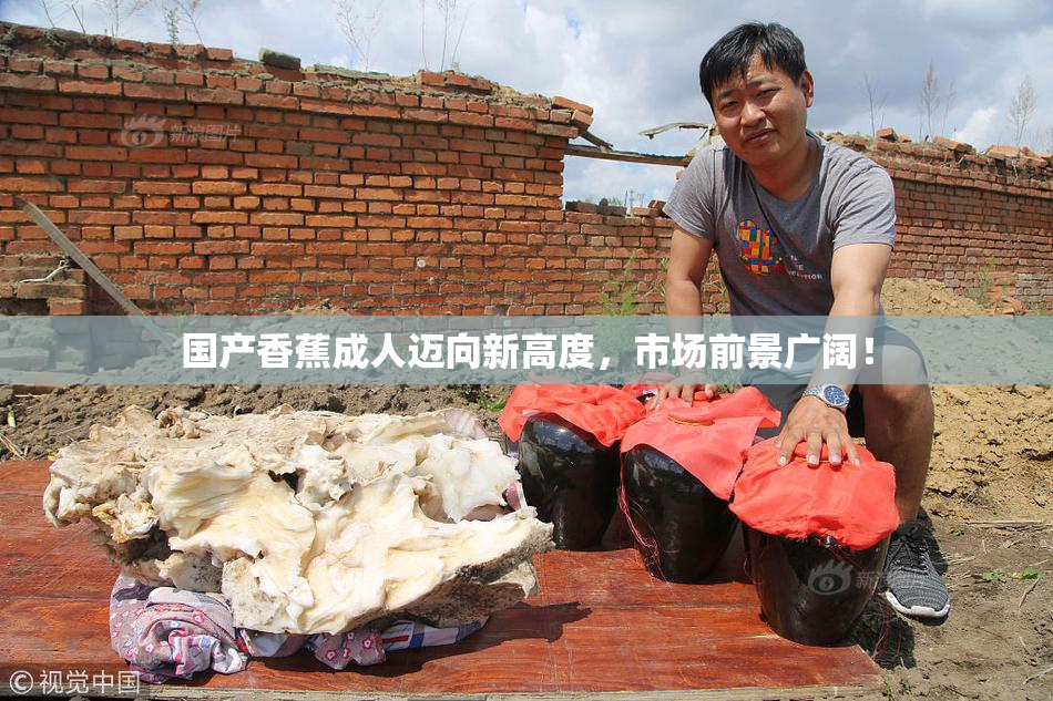 国产香蕉成人迈向新高度，市场前景广阔！