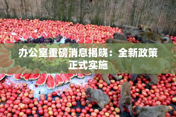 办公室重磅消息揭晓：全新政策正式实施