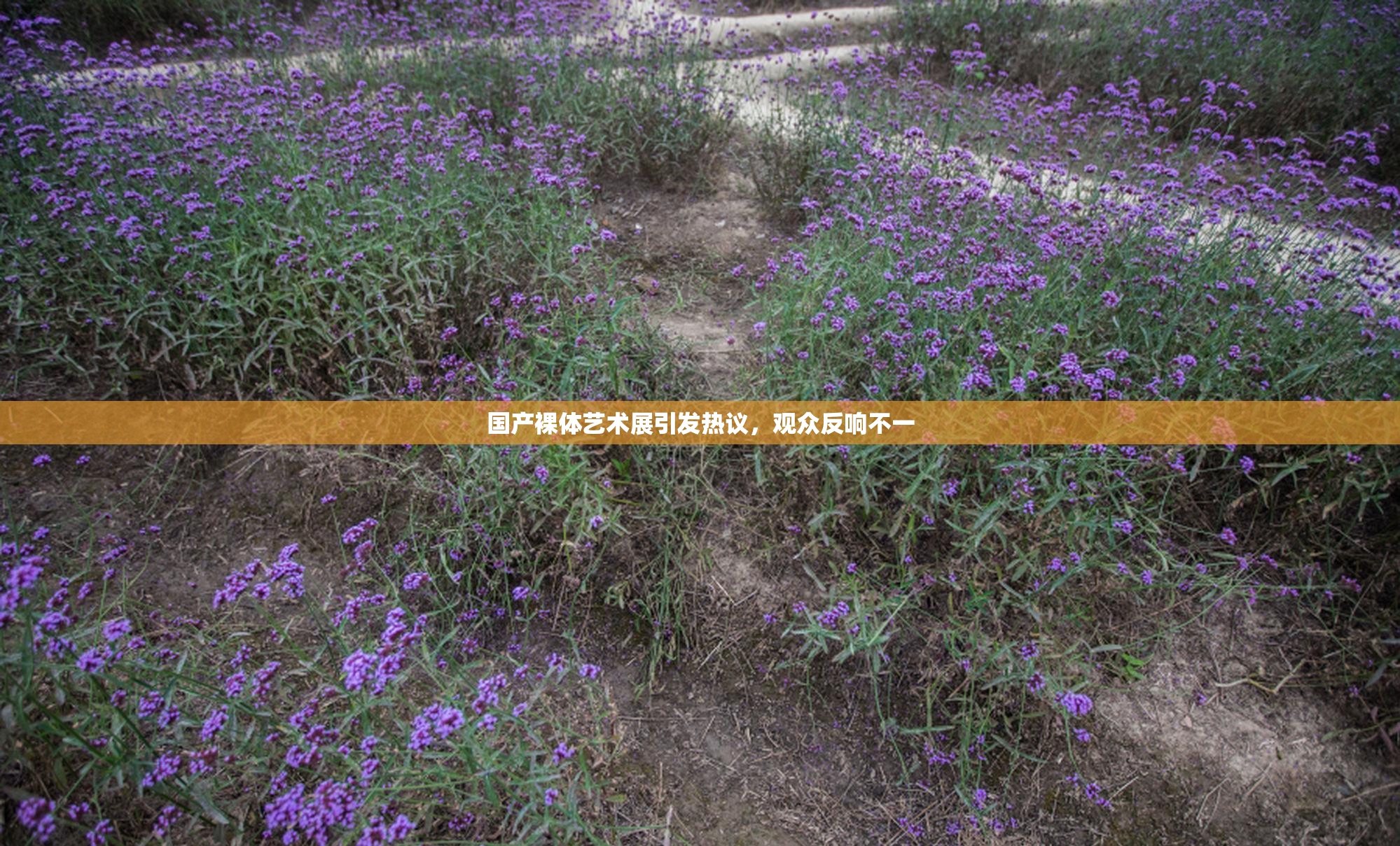 国产裸体艺术展引发热议，观众反响不一