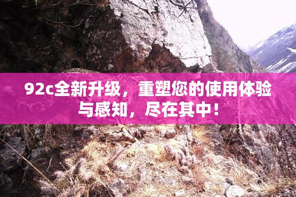 92c全新升级，重塑您的使用体验与感知，尽在其中！