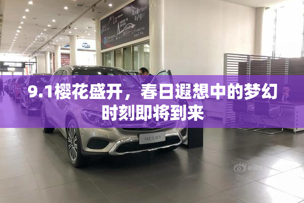 9.1樱花盛开，春日遐想中的梦幻时刻即将到来