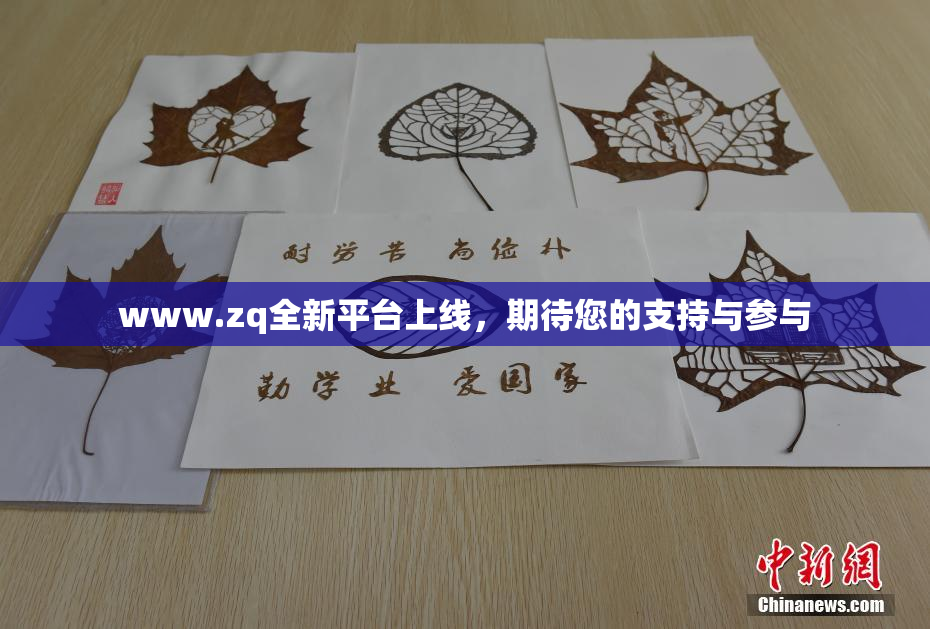 www.zq全新平台上线，期待您的支持与参与