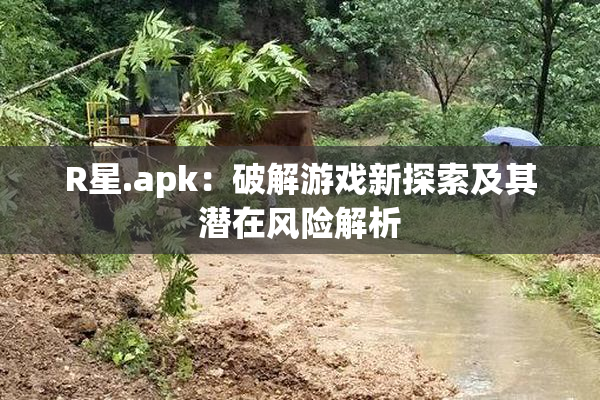 R星.apk：破解游戏新探索及其潜在风险解析