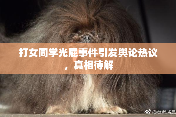 打女同学光屁事件引发舆论热议，真相待解