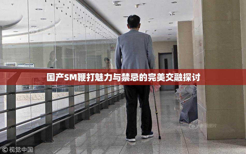 国产SM鞭打魅力与禁忌的完美交融探讨