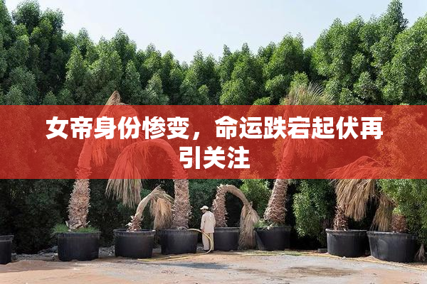 女帝身份惨变，命运跌宕起伏再引关注