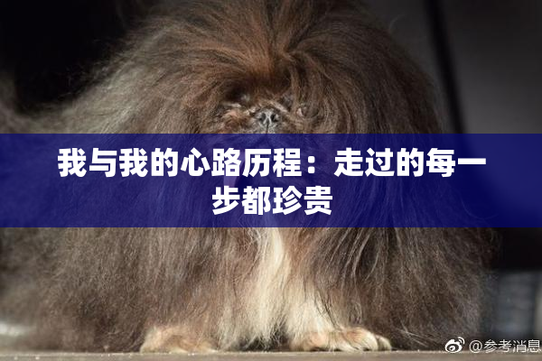 我与我的心路历程：走过的每一步都珍贵