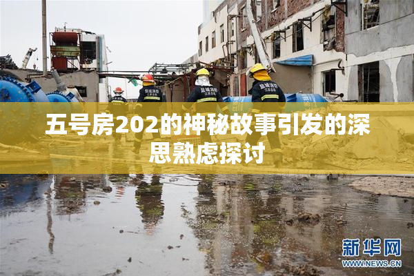 五号房202的神秘故事引发的深思熟虑探讨