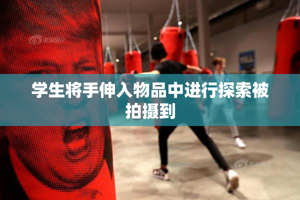 学生将手伸入物品中进行探索被拍摄到