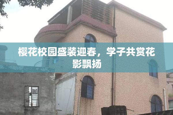 樱花校园盛装迎春，学子共赏花影飘扬