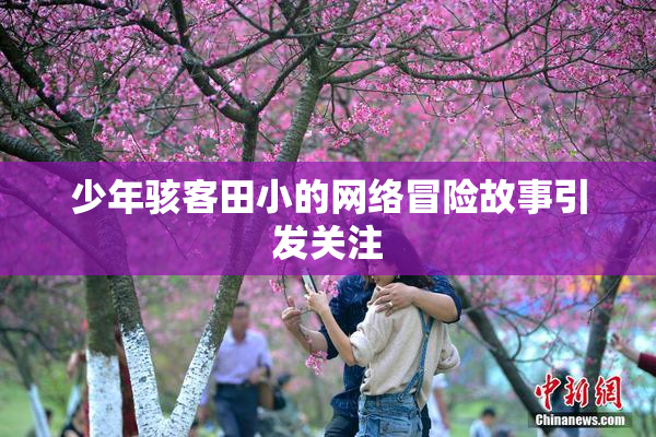 少年骇客田小的网络冒险故事引发关注