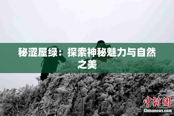 秘涩屋绿：探索神秘魅力与自然之美