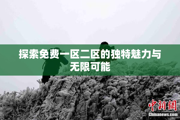 探索免费一区二区的独特魅力与无限可能