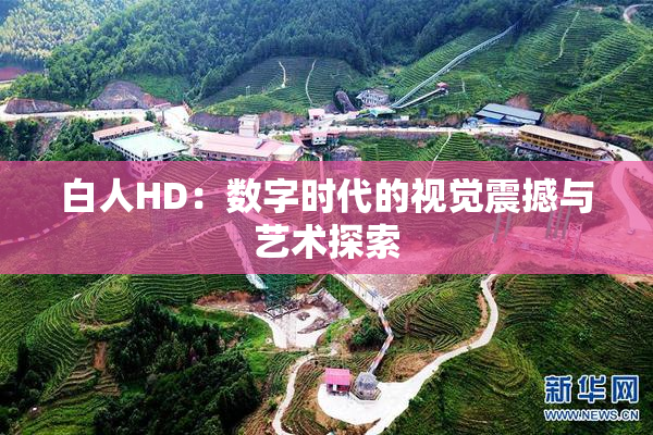 白人HD：数字时代的视觉震撼与艺术探索