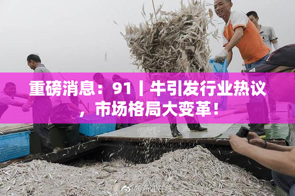 重磅消息：91丨牛引发行业热议，市场格局大变革！