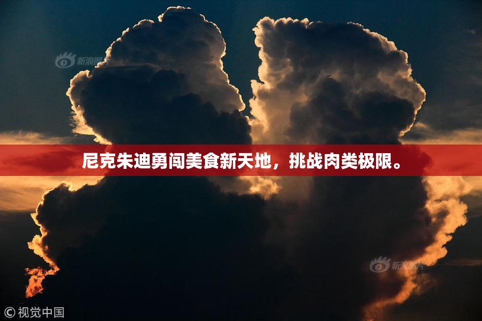 尼克朱迪勇闯美食新天地，挑战肉类极限。