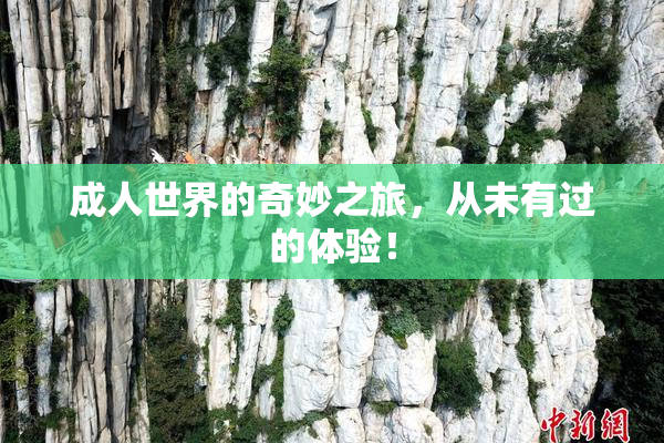 成人世界的奇妙之旅，从未有过的体验！