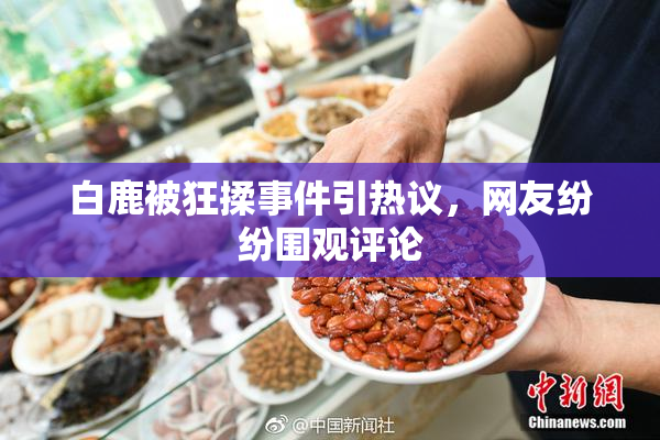 白鹿被狂揉事件引热议，网友纷纷围观评论