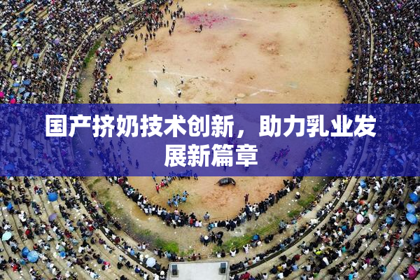 国产挤奶技术创新，助力乳业发展新篇章