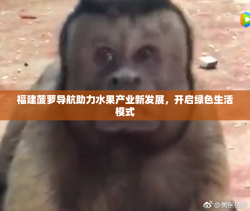 福建菠萝导航助力水果产业新发展，开启绿色生活模式