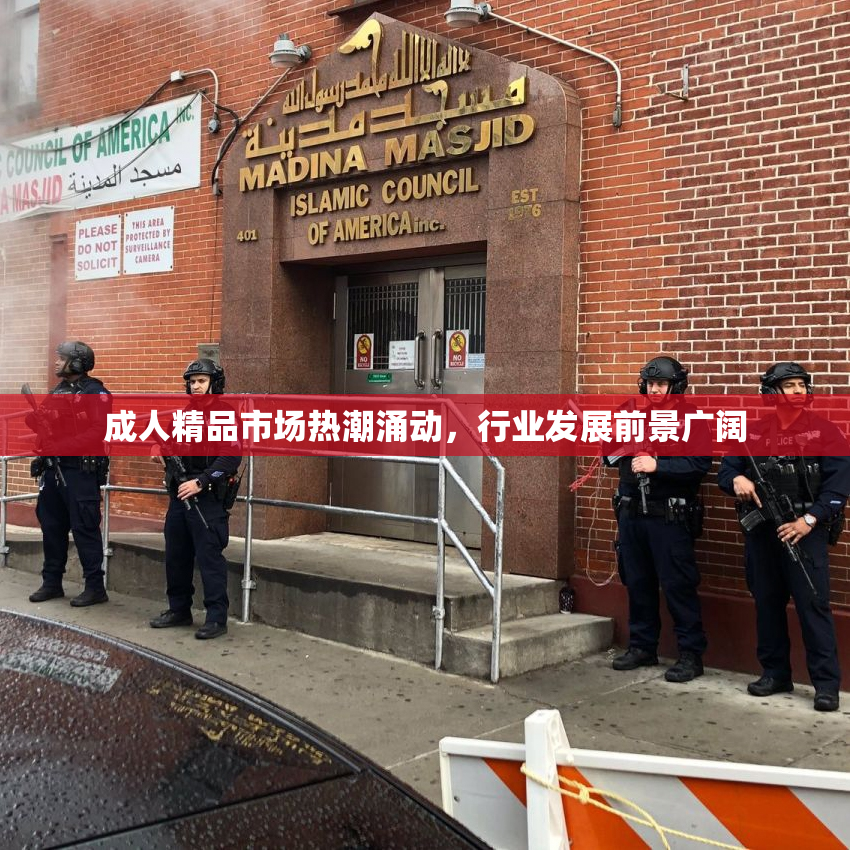 成人精品市场热潮涌动，行业发展前景广阔
