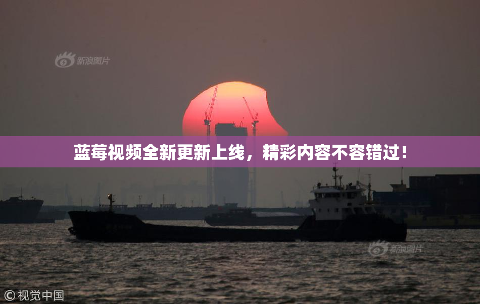 蓝莓视频全新更新上线，精彩内容不容错过！