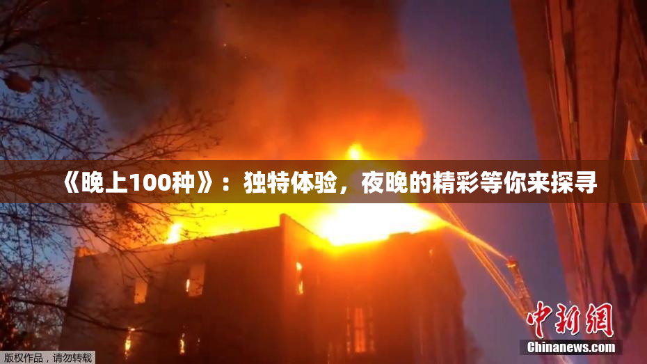 《晚上100种》：独特体验，夜晚的精彩等你来探寻
